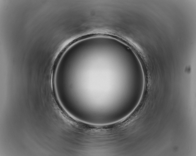 X0000090611272200707241058