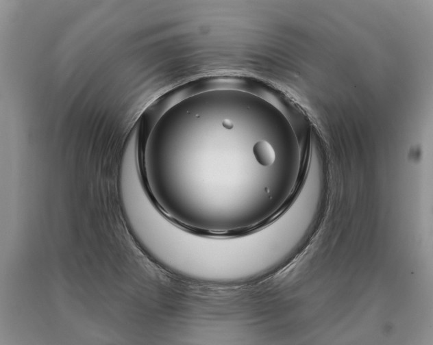 X0000090611273200707241058