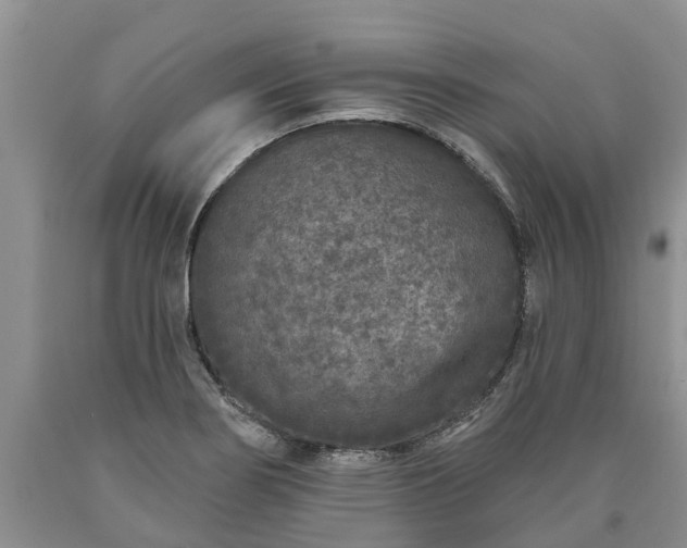 X0000090611274200707241058