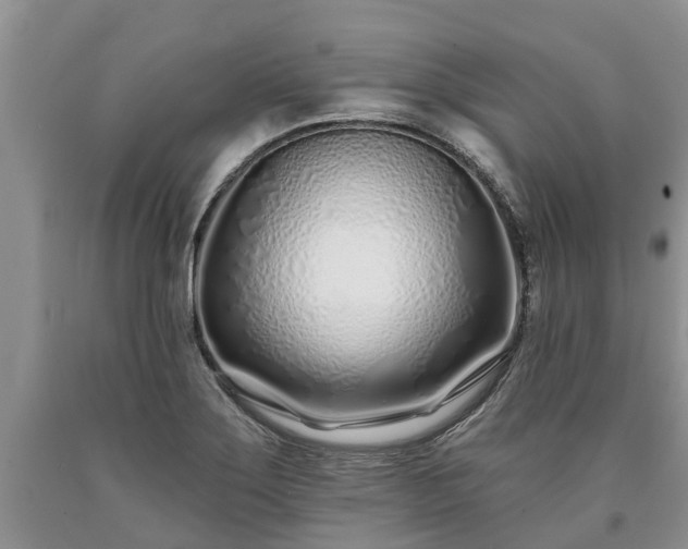 X0000090611275200707241058