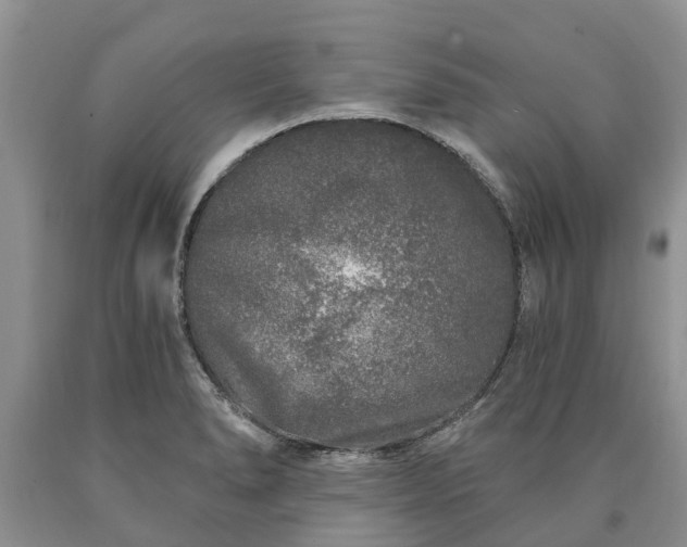 X0000090611278200707241058