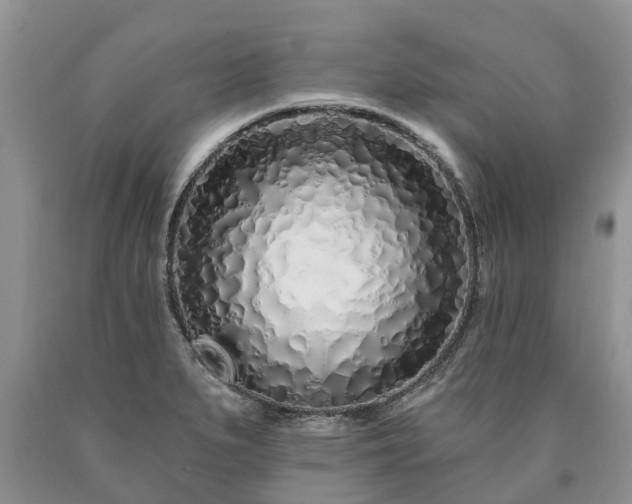 X0000090611279200707241058