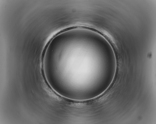 X0000090611280200707241058