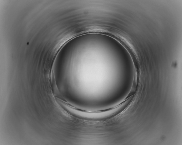 X0000090611281200707241058