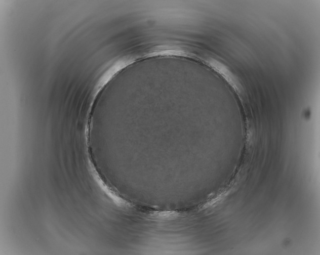 X0000090611282200707241058