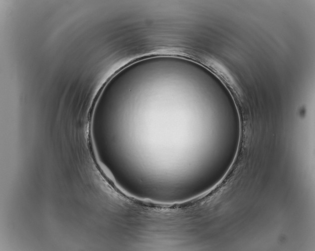 X0000090611284200707241058