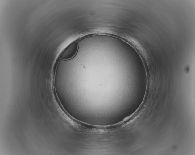 X0000090611286200707241058