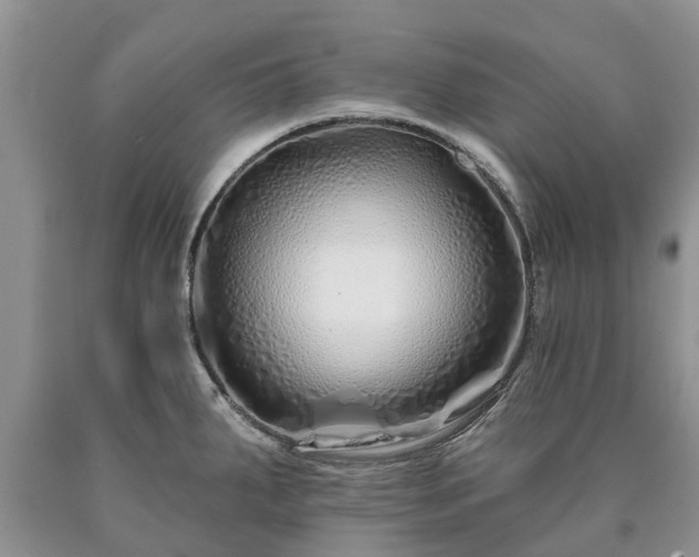 X0000090611287200707241058