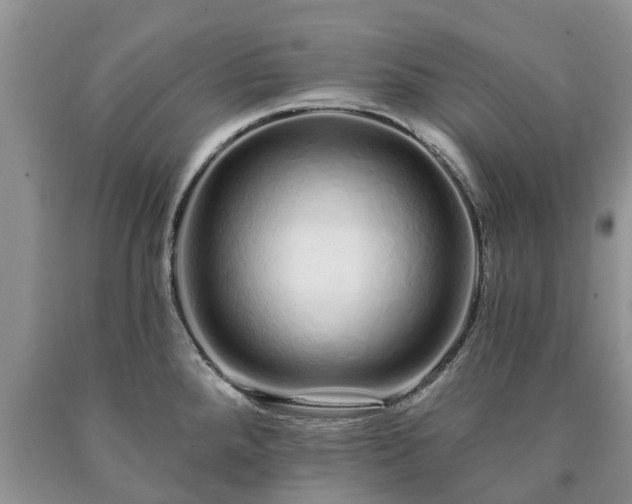 X0000090611288200707241058