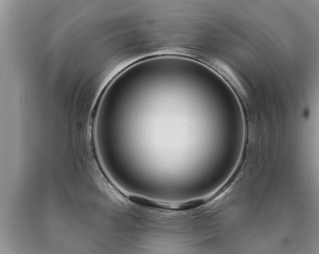 X0000090611292200707241058