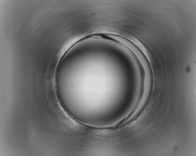 X0000090611293200707241058