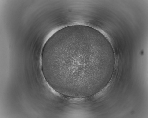 X0000090611294200707241058