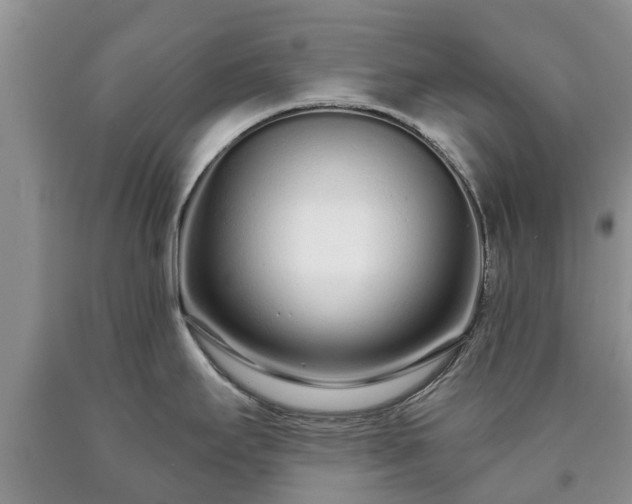 X0000090611295200707241058