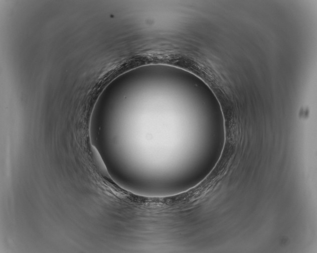 X0000090611297200707241057