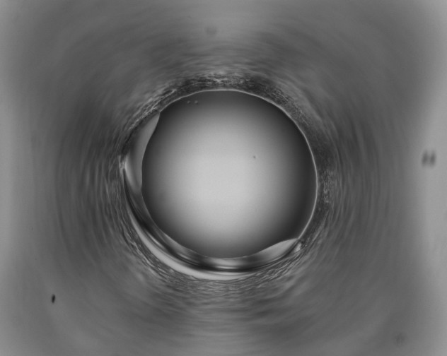 X0000090611298200707241057