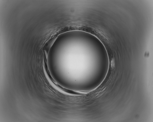 X0000090611299200707241057