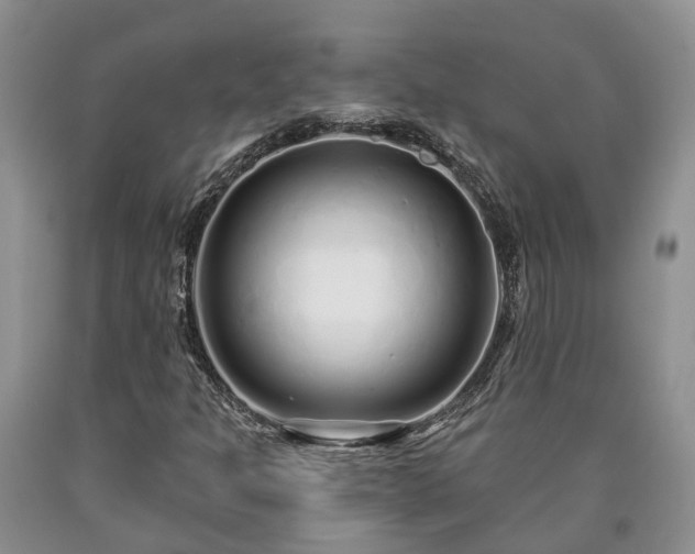 X0000090611301200707241057