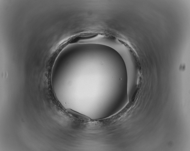 X0000090611304200707241057