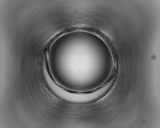 X0000090611305200707241057