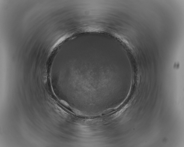 X0000090611306200707241057