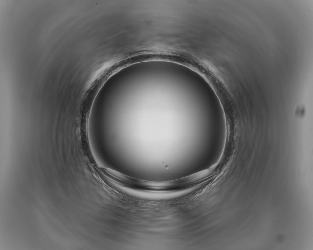 X0000090611307200707241057