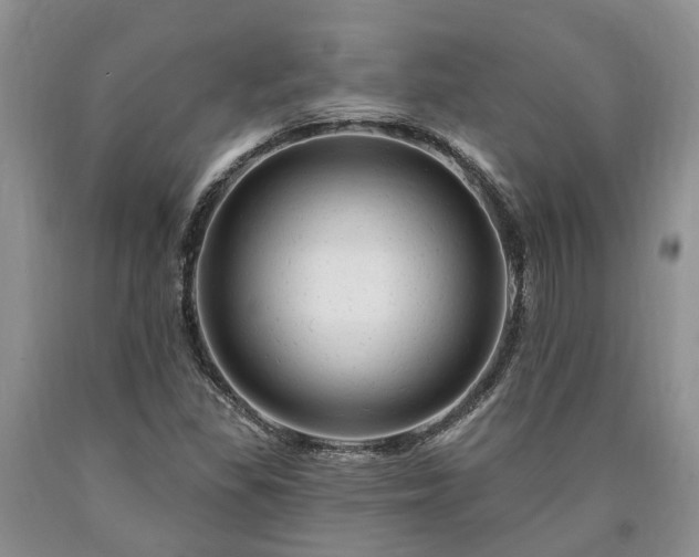 X0000090611309200707241058