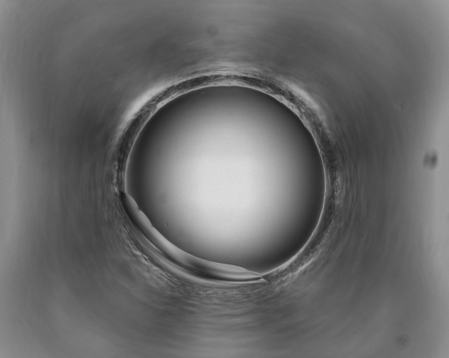 X0000090611310200707241058