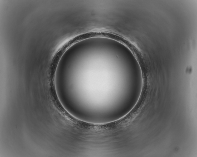 X0000090611311200707241058