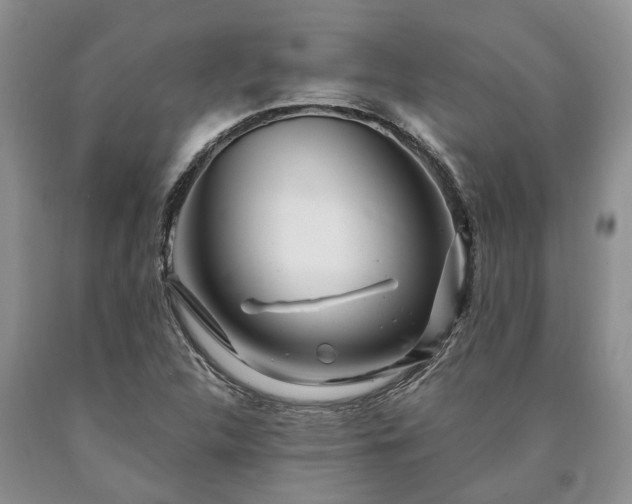 X0000090611312200707241058