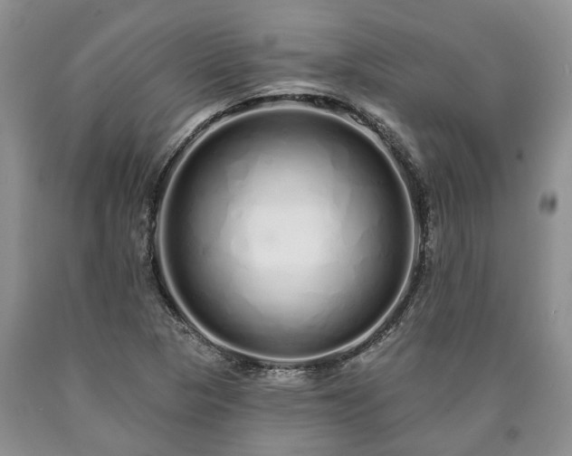 X0000090611313200707241058