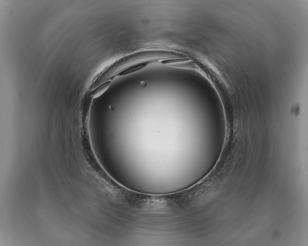 X0000090611315200707241058