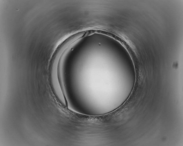 X0000090611316200707241058