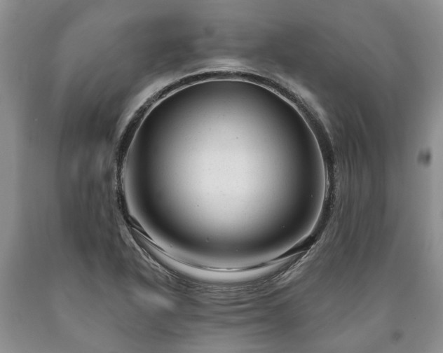 X0000090611318200707241058