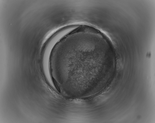 X0000090611319200707241058