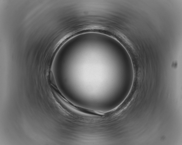 X0000090611321200707241058