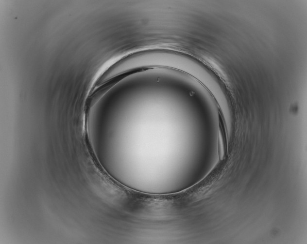 X0000090611324200707241058