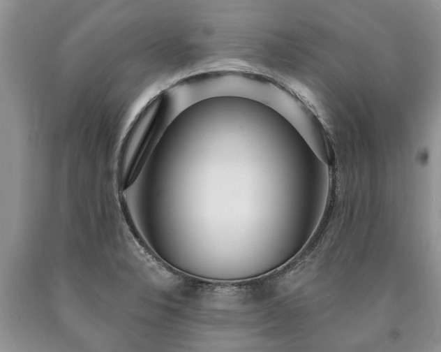 X0000090611326200707241058