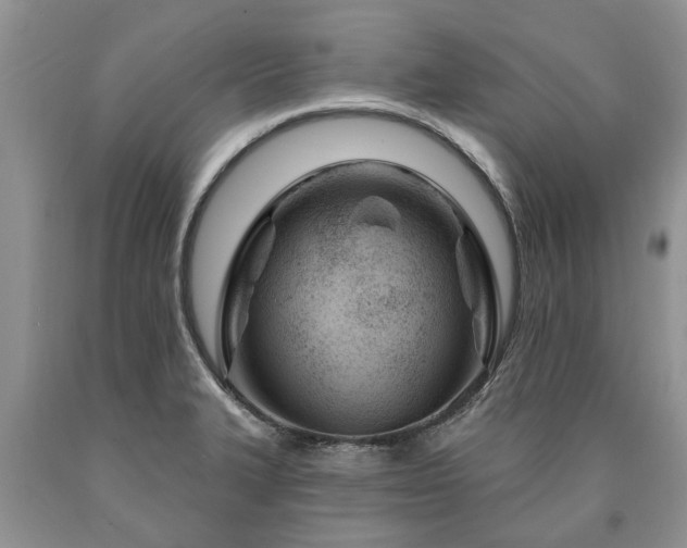 X0000090611327200707241058