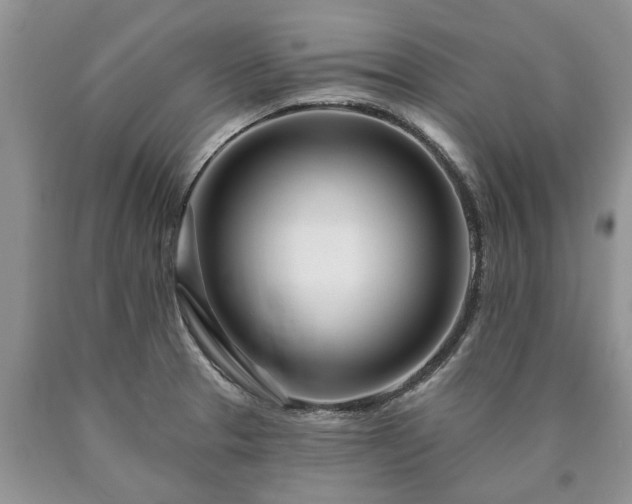 X0000090611329200707241058