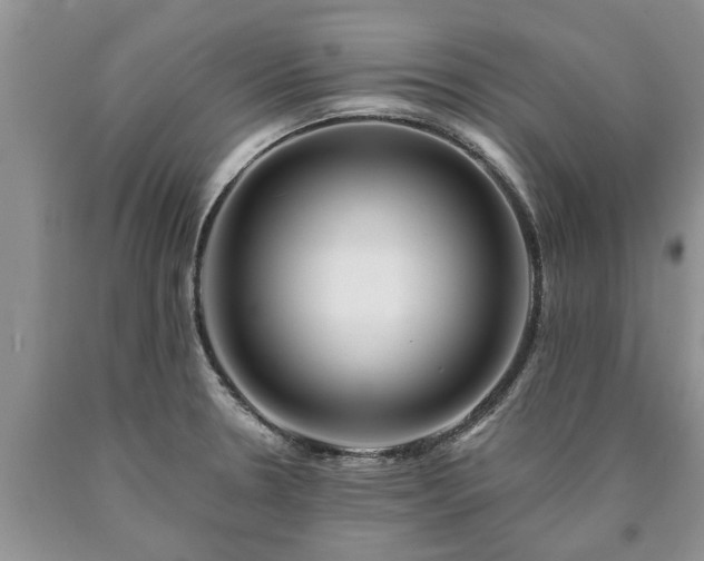 X0000090611330200707241058