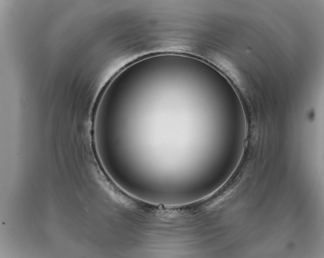 X0000090611332200707241058