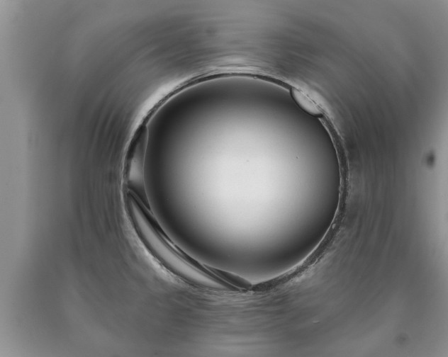 X0000090611333200707241058