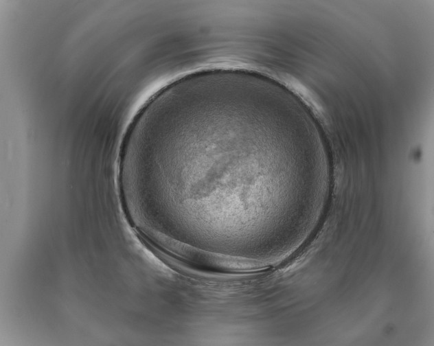 X0000090611334200707241058