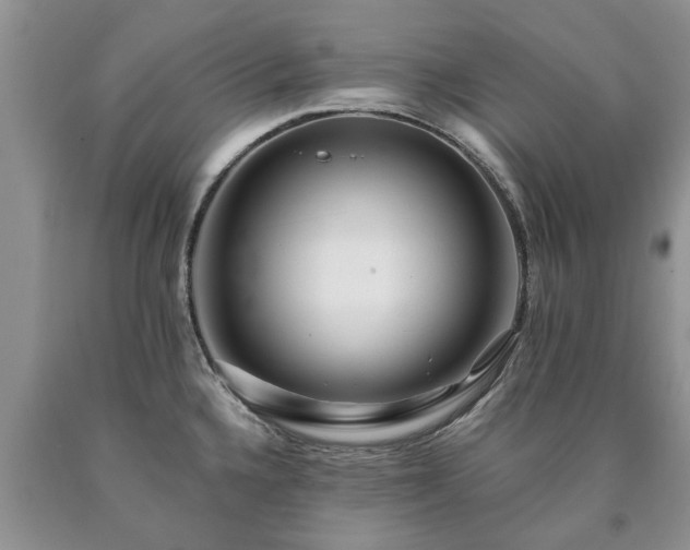 X0000090611336200707241058