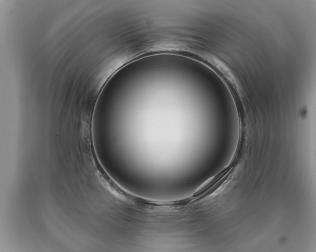 X0000090611337200707241058