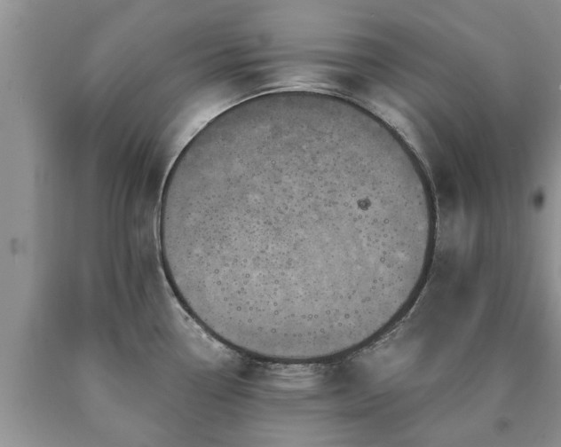 X0000090611338200707241058