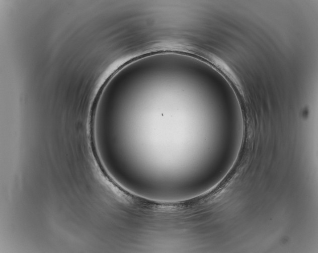 X0000090611339200707241058