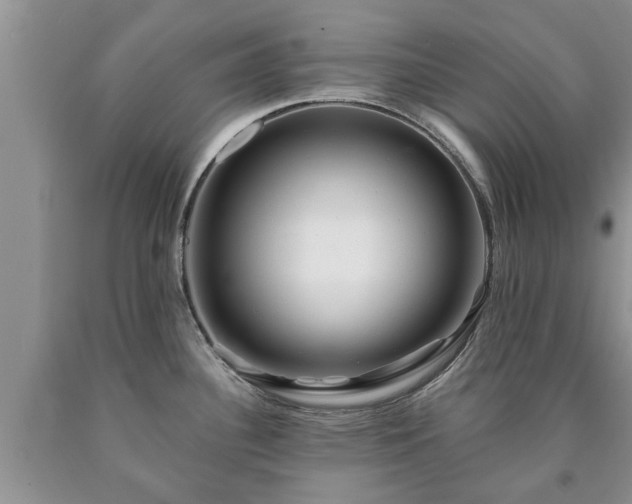 X0000090611340200707241058