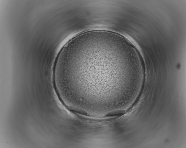 X0000090611341200707241058