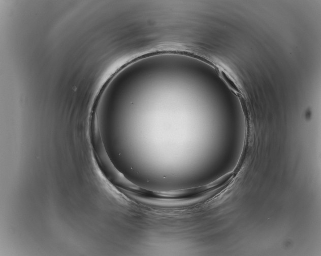 X0000090611342200707241058